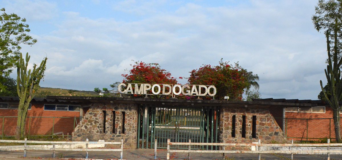Campo-do-gado-novo-Foto-Izinaldo-Barreto-19-09-2023-1