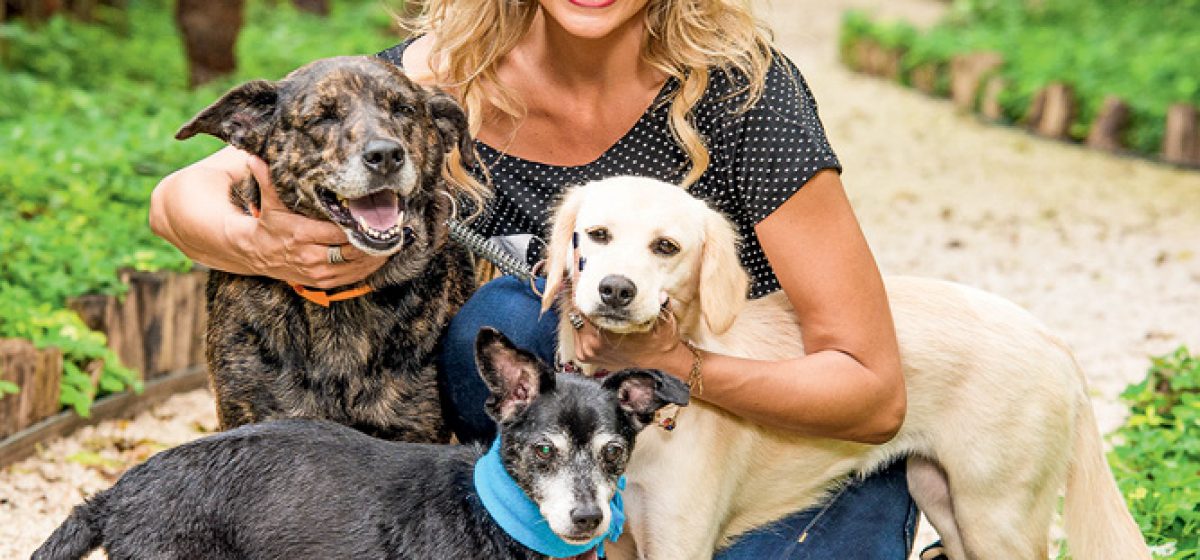 Luisa Mell, ativista e apresentadora de TV, com vários cães.