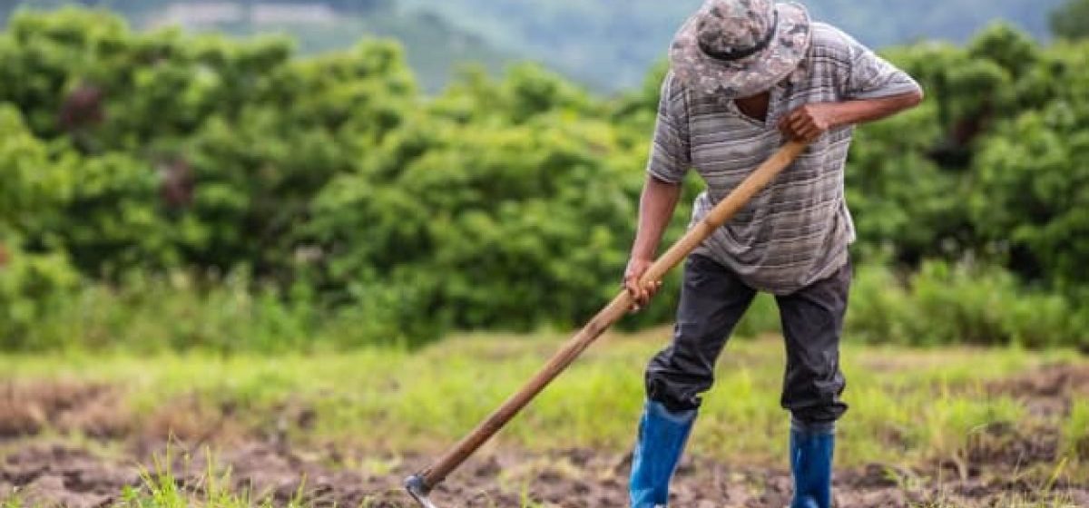 um-agricultor-que-esta-usando-uma-pa-para-cavar-o-solo-em-seus-campos-de-arroz_1150-17239-1200x799-1