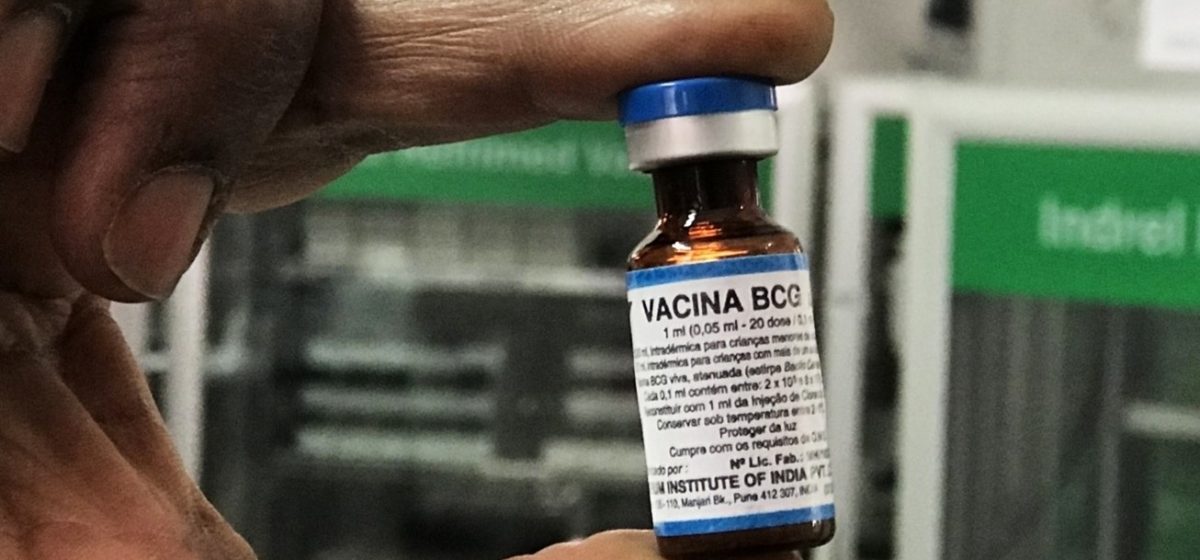 vacina bcg